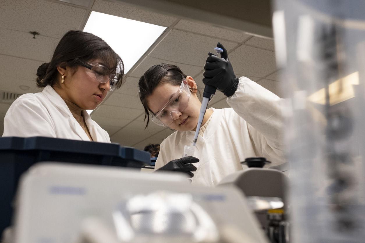 An image of two students conducting an experiment in a chemistry class.